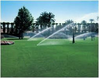 Посев и стрижка газона в Астане